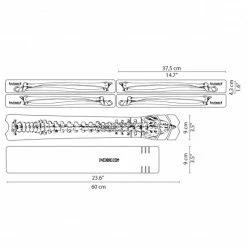 DYSTFBON Sticker - Bones (SUR COMMANDE)